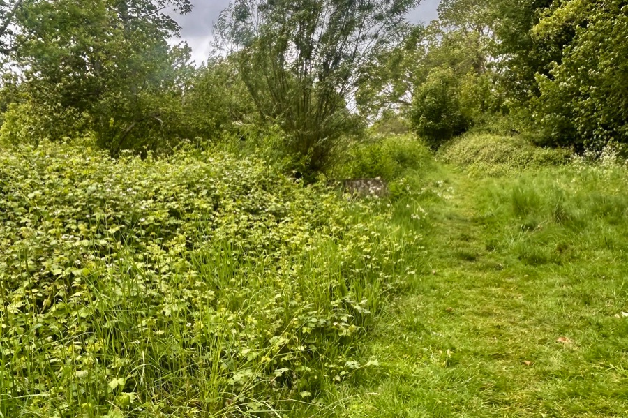 Path to the River Test